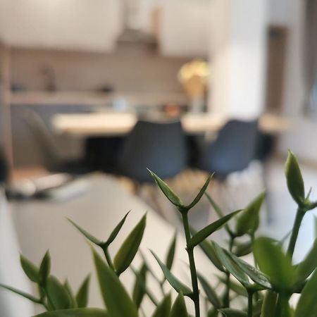 Apartma Bella Nadiza Kobarid Exterior photo